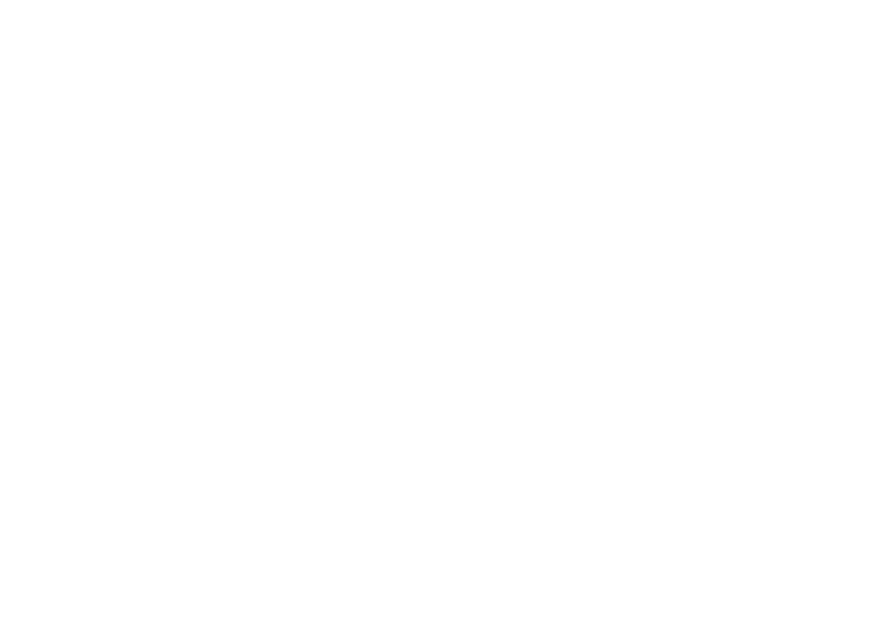 MobilityXlab logo white