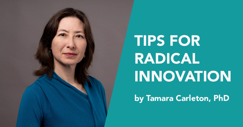 Tamara Carleton - Tips for radical innovation