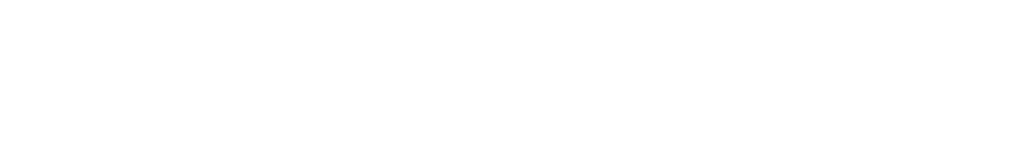 DeepScenario logo